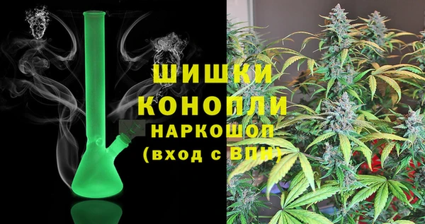 хмурый Арсеньев