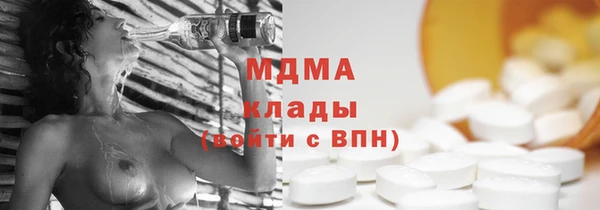 хмурый Арсеньев