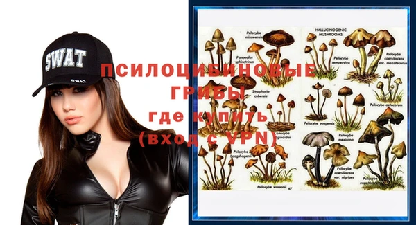 хмурый Арсеньев