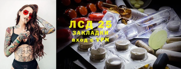 трава Аркадак