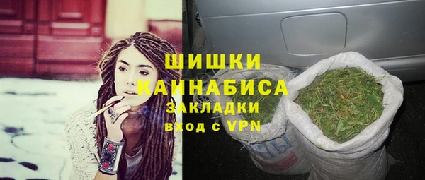 хмурый Арсеньев