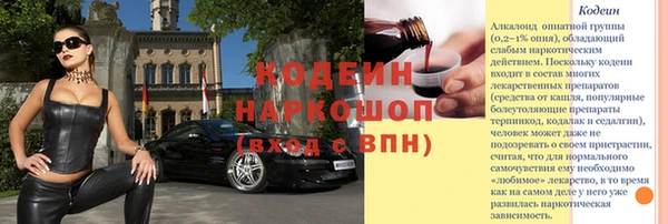 хмурый Арсеньев