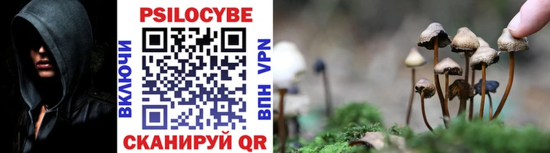 купить наркоту  hydra   Галлюциногенные грибы GOLDEN TEACHER  Чёрмоз 